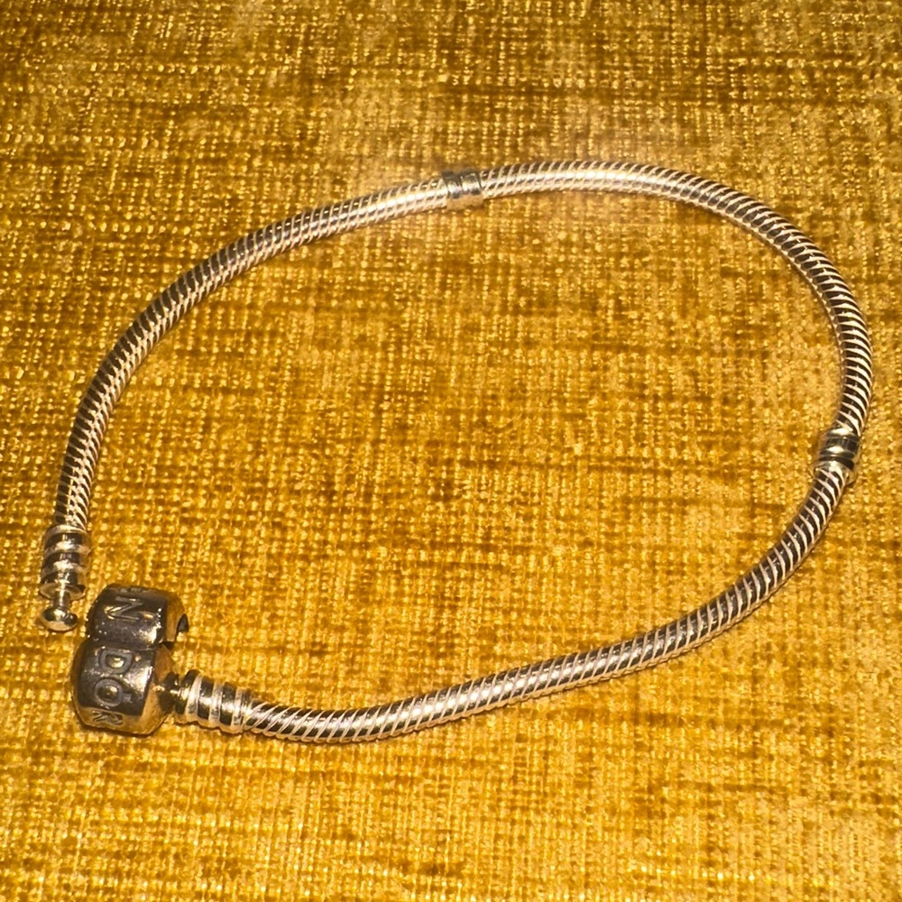 Pandora Silver Charm Bracelet - Picture 4 of 6